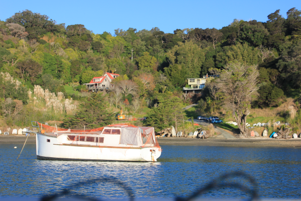 The Carpark at Ngaio Bay